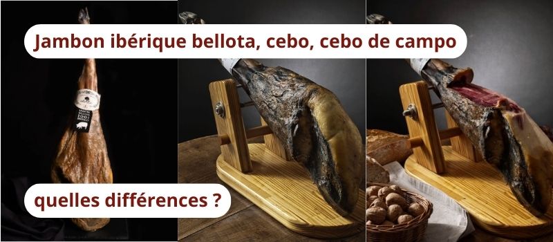 Jambon ibérique bellota, cebo, cebo de campo : quelles différences ?