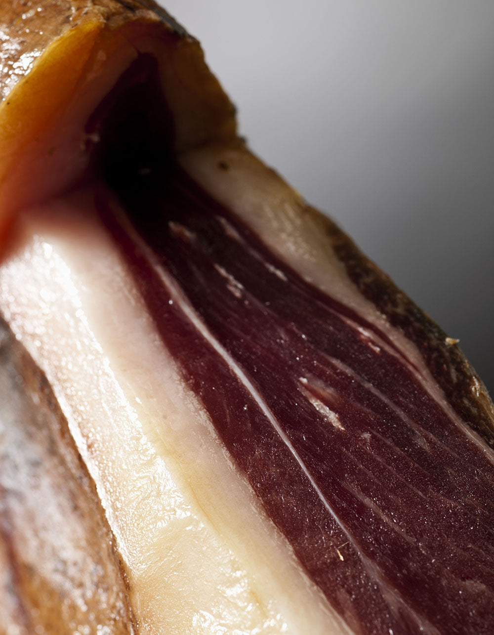 Épaule entière ibérique Cebo de Campo