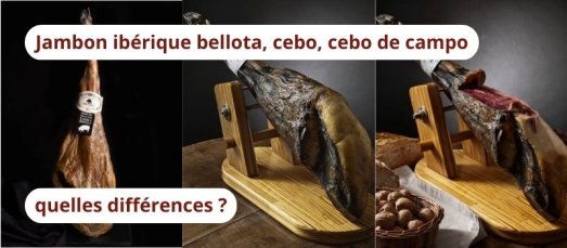 Jambon ibérique bellota, cebo, cebo de campo : quelles différences ?