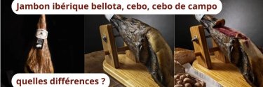 Jambon ibérique bellota, cebo, cebo de campo : quelles différences ?