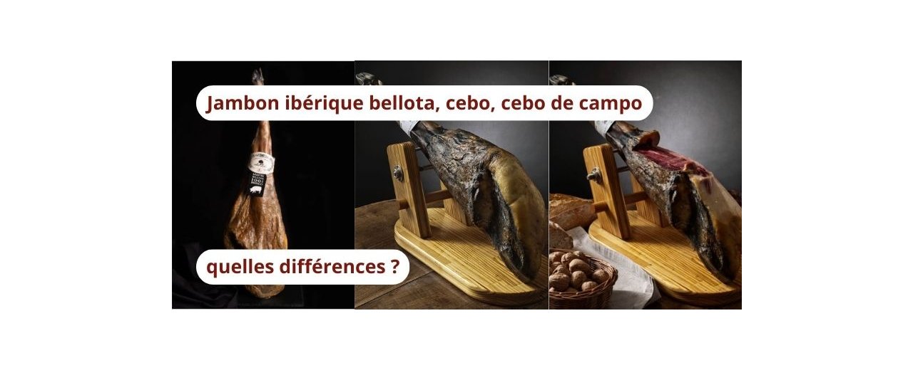 Jambon ibérique bellota, cebo, cebo de campo : quelles différences ?